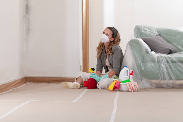 Reliable Commercial Mold Remediation contractor in Hampton, GA by WQB Mold Removal
